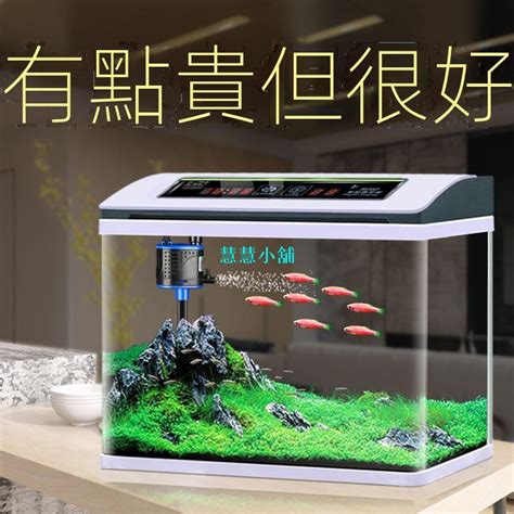 放魚|高密度養魚的祕密，讓你小魚缸可以塞下海生館！high density。